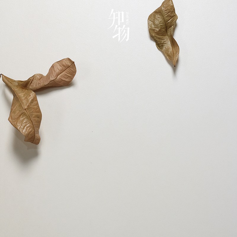 新侘寂风微水泥瓷砖奶油u白色卫生间墙砖客厅地砖日式素色仿古砖