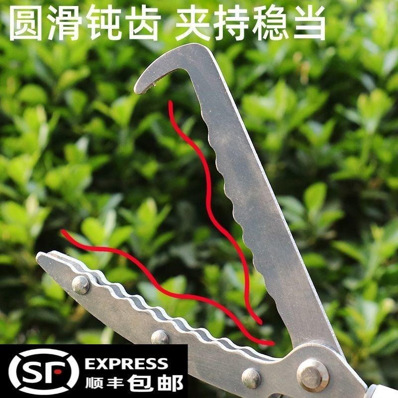 申缩杆夹a多功能可伸缩高空摘果神器伸缩杆环卫工人夹子长杆取物