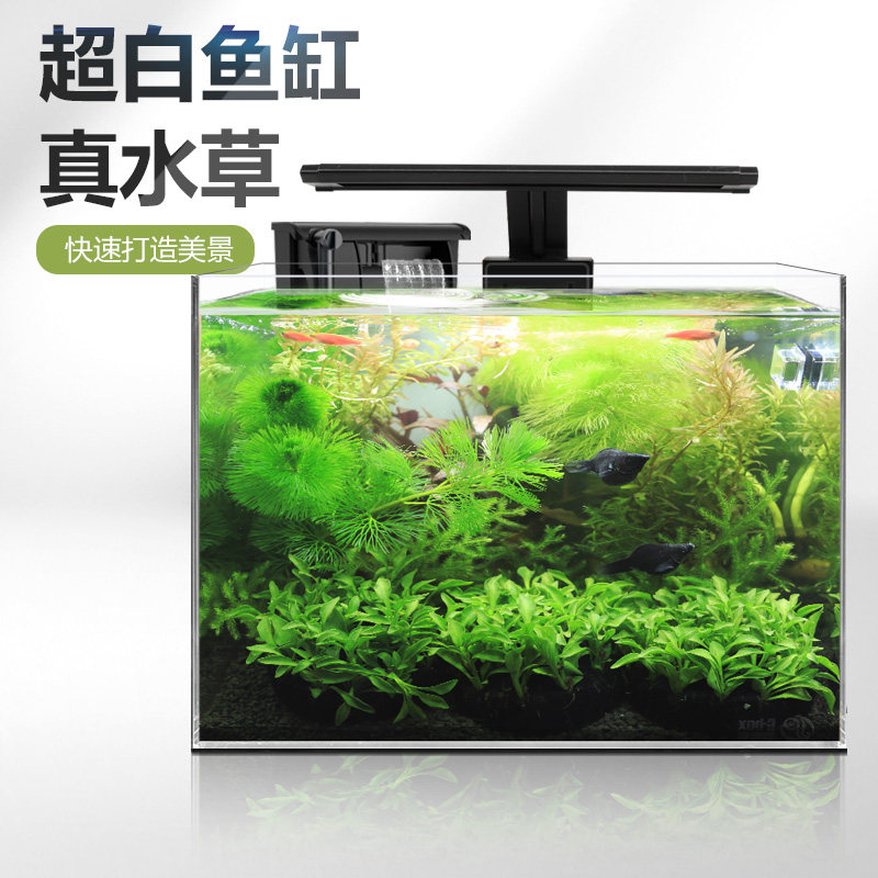 直角鱼缸客厅小型桌面超白真水草玻璃生态鱼缸造景套餐高清金鱼缸