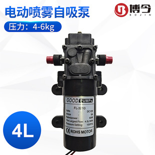 12V24V48V60W自吸泵电动喷雾消毒隔膜泵农用直流花园降温回流泵