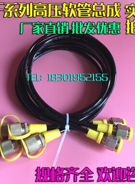 测压软管 高压测试管压力表线HFH2-P1 P2 P3-3-P-1000/1500/2000