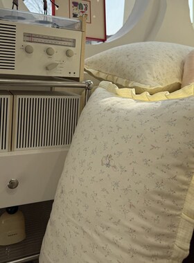 A类法式淡雅皱皱花边双层纱少女碎花小兔四件套1.S5m1.8米全棉