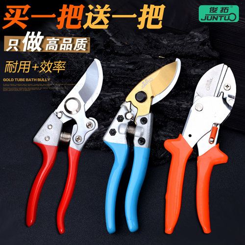 花木园林园艺剪刀园丁剪花枝修剪树枝剪刀果枝剪修花剪刀修枝剪刀