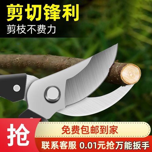 园艺剪刀修枝剪专用剪花摘水果神器摘茶叶樱桃工具高枝剪家用剪子