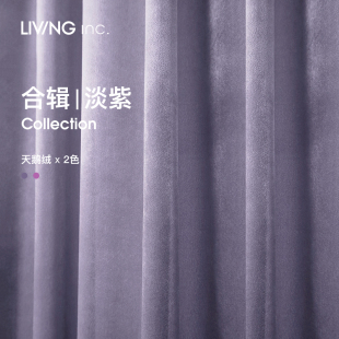 浅紫系列 轻奢丝绒窗帘 卧室少女客厅天鹅绒遮阳窗帘 inc. LIVING