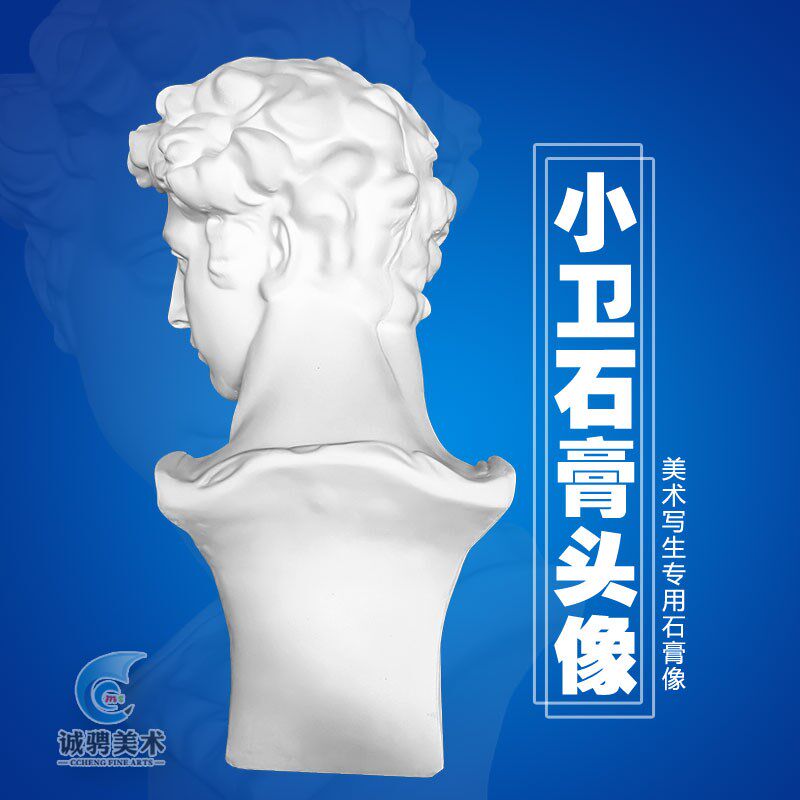 小卫石膏头像静物l美术茱莉亚诺德梅第奇石膏像画材素描用品石膏