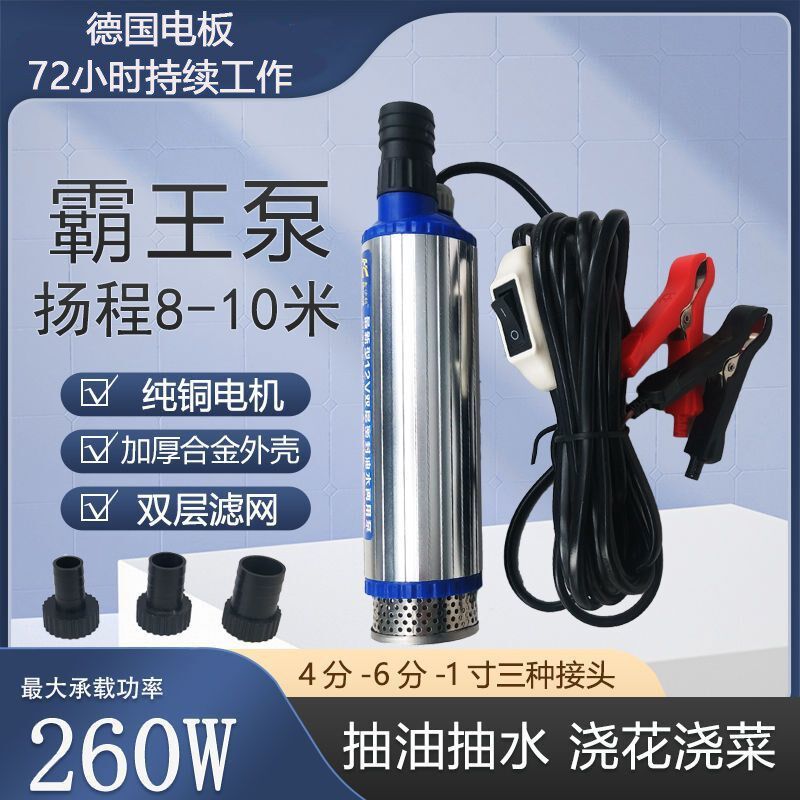 12v抽油泵小型抽水泵24v便携式大功率潜水L泵220V电动抽酒专用泵