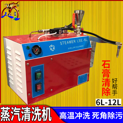 大功率高温蒸汽清洗机高压蒸汽机首饰电镀表面清洗去污工业商用6L