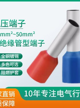 VE1508管型接线端子E1008E7508E0506E4018绝缘针形插针冷压铜鼻子