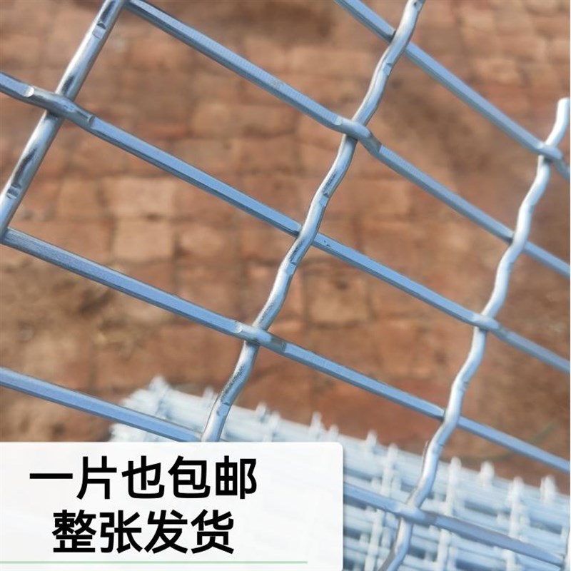 狗笼底网大狗笼子底网片养羊鸡鸭鹅鸽舍踩漏粪网T犬舍宠物垫脚网