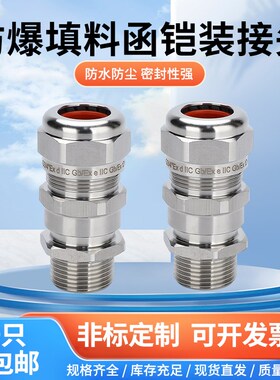 304不锈钢防爆铠装电缆电线电线接头填料函BDMX-EM20G1/2DN20