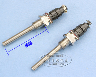 温度传感器 300mm铂热电阻 厂价 269铂热电阻PT100插深100mm WZP