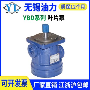 高压叶片泵YBD-6.3/10/16/20/25/32/40/63/80/100液压油泵泵头