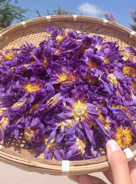 2021新烤纯天然蓝莲花花茶睡莲干花 低温烘烤蓝莲花花茶干花 现货