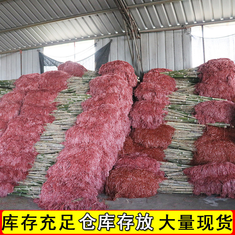 大扫把扫马路环卫户外室外院子庭院老式塑L料丝家用单个竹扫帚笤