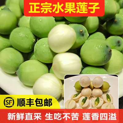 新鲜莲子+生吃不苦+顺丰包邮