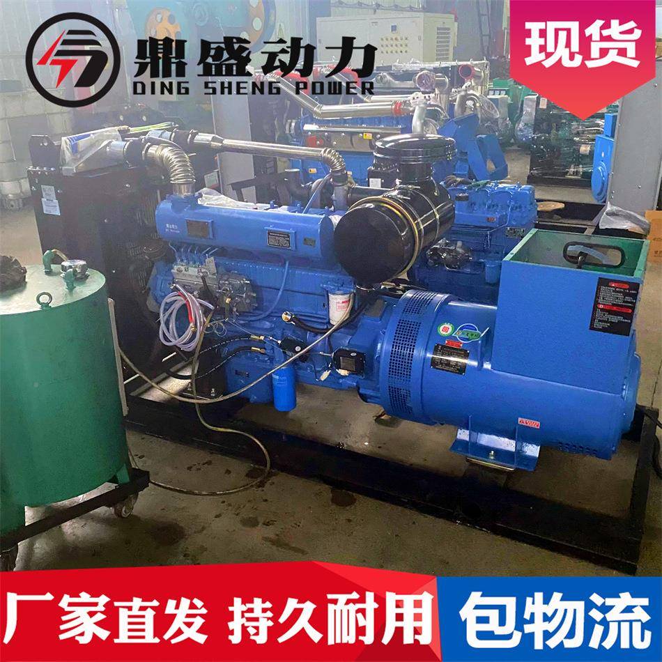 15地0千瓦柴油发电机w组直发殖DS-150kw工地房产应急用15养0k发电