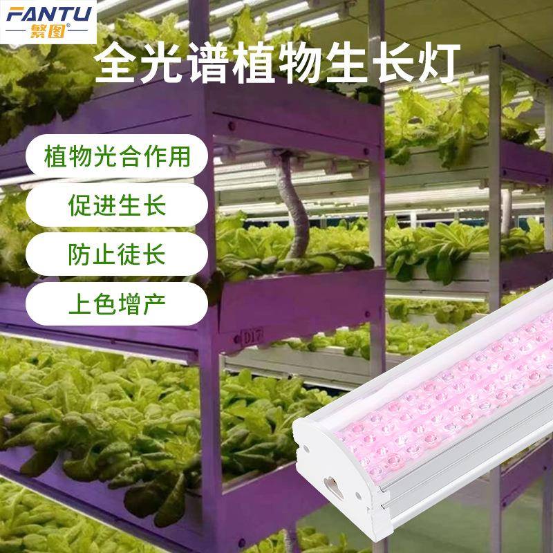 植物生光长灯全光谱led灯条太阳花卉光绿植多肉叶菜育EKR仿苗补灯