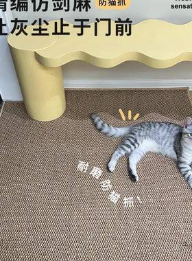 入户F979H589门垫20地5新仿剑麻门垫进门口入门玄2关款门外地毯脚