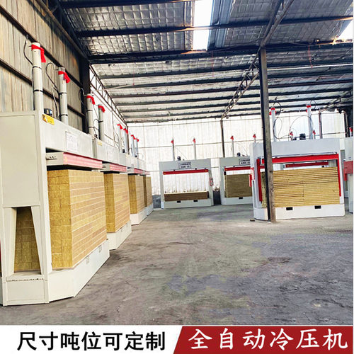 带叉车槽百洁布冷压机