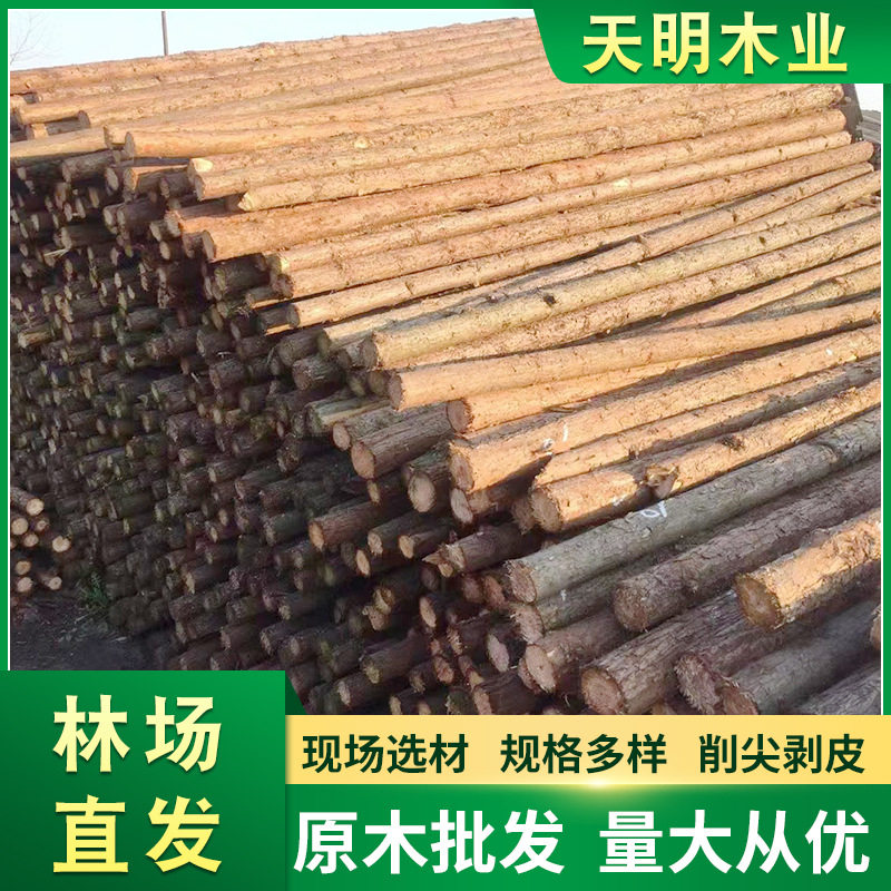 防汛防洪松木桩河道打桩支撑