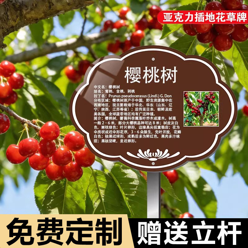 树木介绍标识牌【树木】信息牌