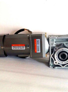 交流涡轮减速电机大速比RV040带中间箱40w60w90w120w140w220v