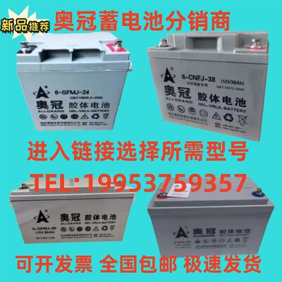 奥冠胶体蓄电池6-GFMJ/12V65A24A38A65A100A120A消防/机房UPS/EPS