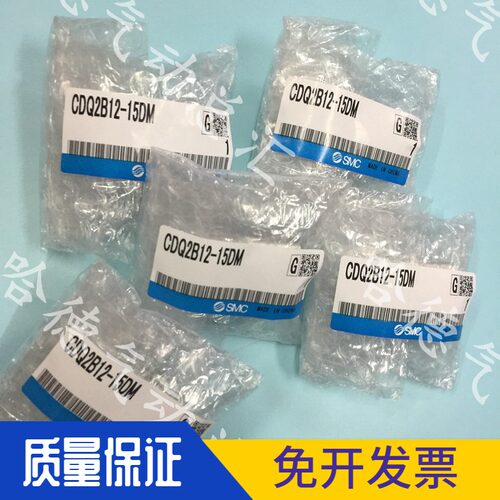 CDQ2B100-35DM-40DM-45DM-50DM-75DM-100DM 原装正品日本SMC气缸