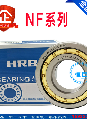 圆柱滚子轴承N NU NJ204 205 206 207 208 209 210 211 212 213EM