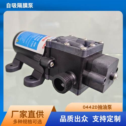 铣铁龙大流量汽油泵12V40W油泵单油泵自吸抽油器电动隔膜泵