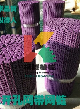 40mm节距平格型网带链POM紫色大孔塑料输送链板网链6000型网带链
