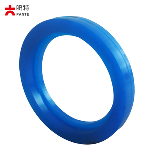 盼特SMS活接垫片不锈钢卫生级硅橡胶活结密封圈T形快装圆型垫新款