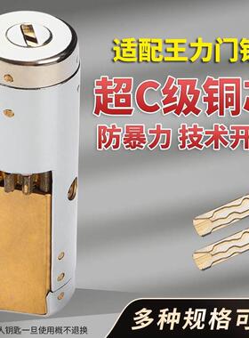 防盗门锁芯 多轨道门自动锁芯 特能超B级超C级多齿轮锁