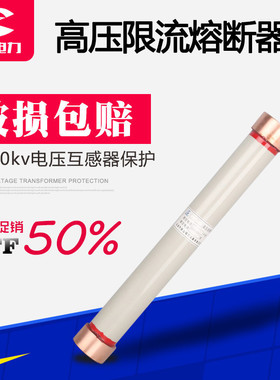 高压限流熔断器RN1-10/10A-20A-25A陶瓷保险管12KV熔芯熔丝管RN3