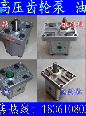 CBJ-E325高压齿轮油泵CBN-F325扁轴键泵CBT-G325花键FEL2  FER2