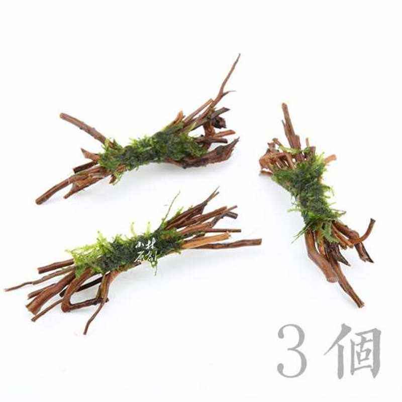 水草水晶造景细根细枝沉木捆定植莫斯真观赏虾虾繁X殖组躲避鱼缸
