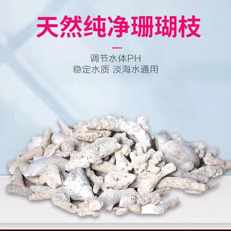 海缸造景珊瑚骨菲律宾沙子天然z鱼缸底砂过滤材料净化水质珊瑚枝