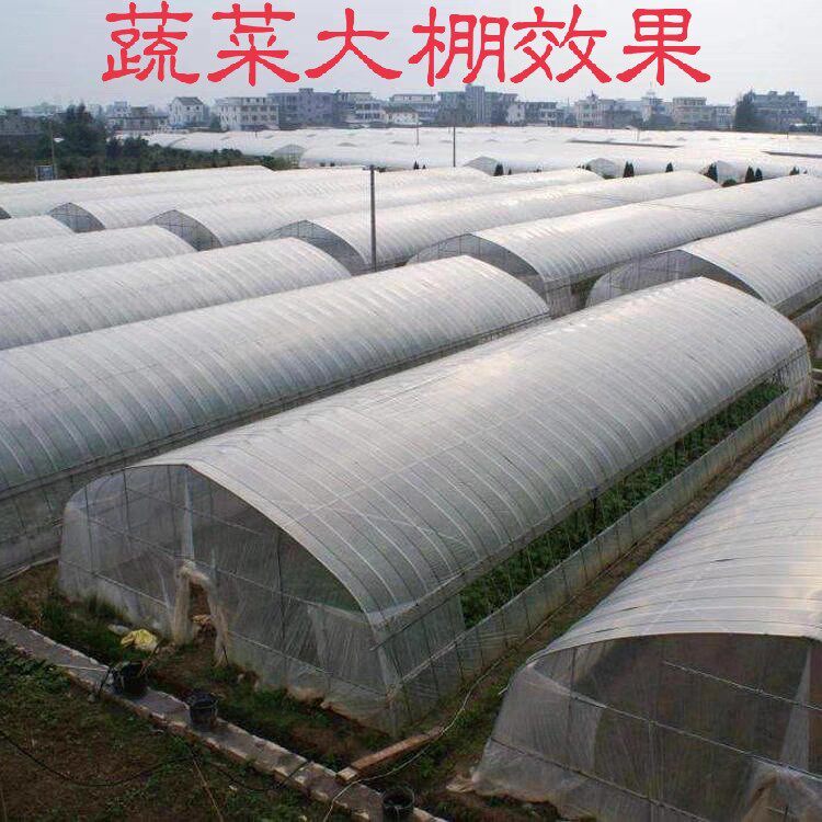养猪场猪圈栏养殖场专用防蚊网大棚用防虫网定制加厚W抗老化纱窗