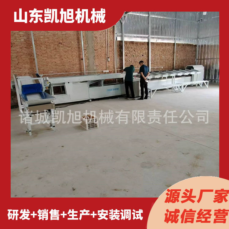 圆形果蔬全自动无损分级选果机