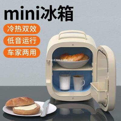 迷你小冰箱小型迷你小冰柜一人家用宿舍美妆冰箱护肤品冷藏收纳