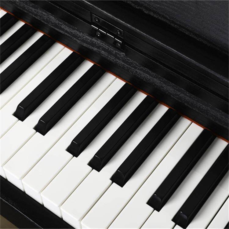 电钢琴88键重锤键盘数位电钢成人初学者智能数码电钢