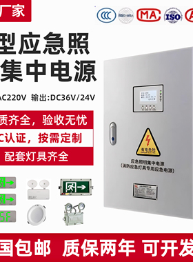 A型应急照明集中电源DC36V消防应急智能控制EPS应急照明配电箱