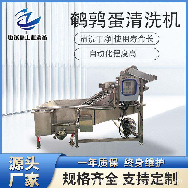全自动鹌鹑蛋清洗上蛋机卤味鹌鹑蛋加工机不锈钢蛋品清洗设备