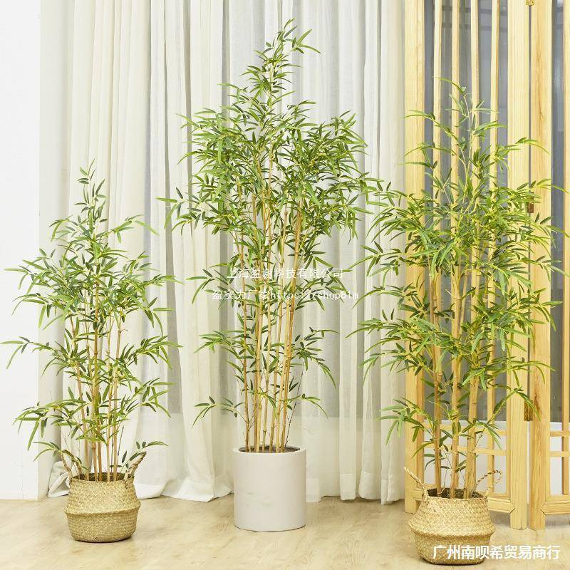 细水毛竹22563237假假竹子室内装子饰道具绿植景盆栽造景植物盆竹