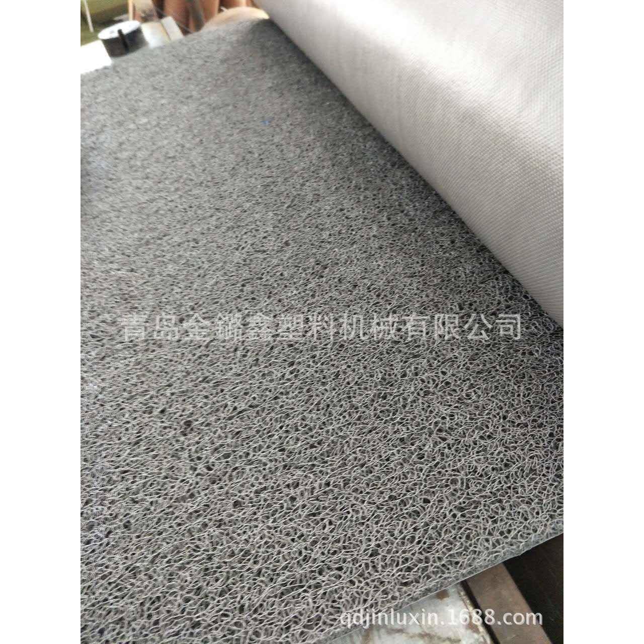 厂家镂空无耐底宝无品牌/丽美塑料VC丝圈地毯P滑磨防喷丝地毯地垫