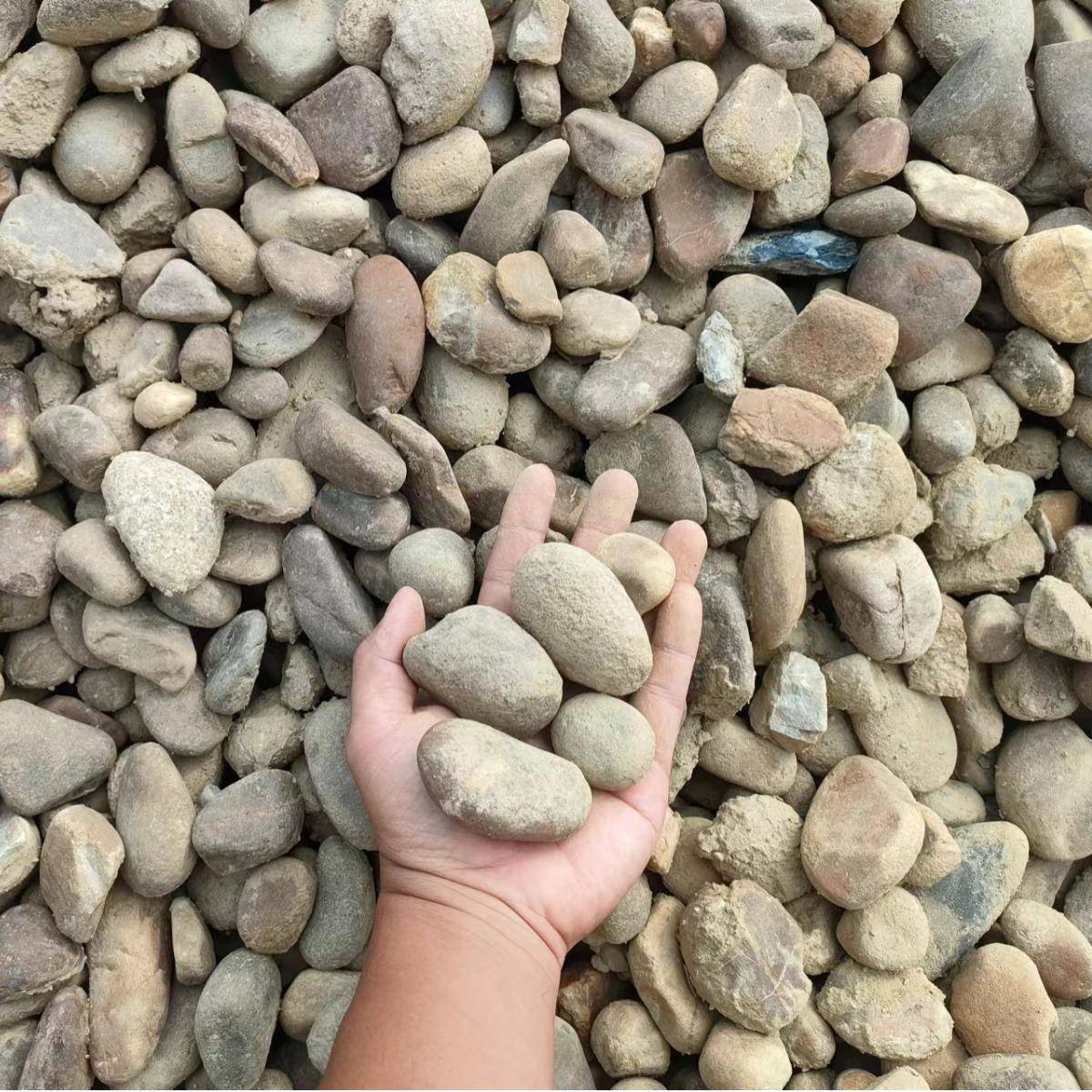 惠州博罗哪有鹅卵石大价量格便里宜无品牌/铺路用的小石子