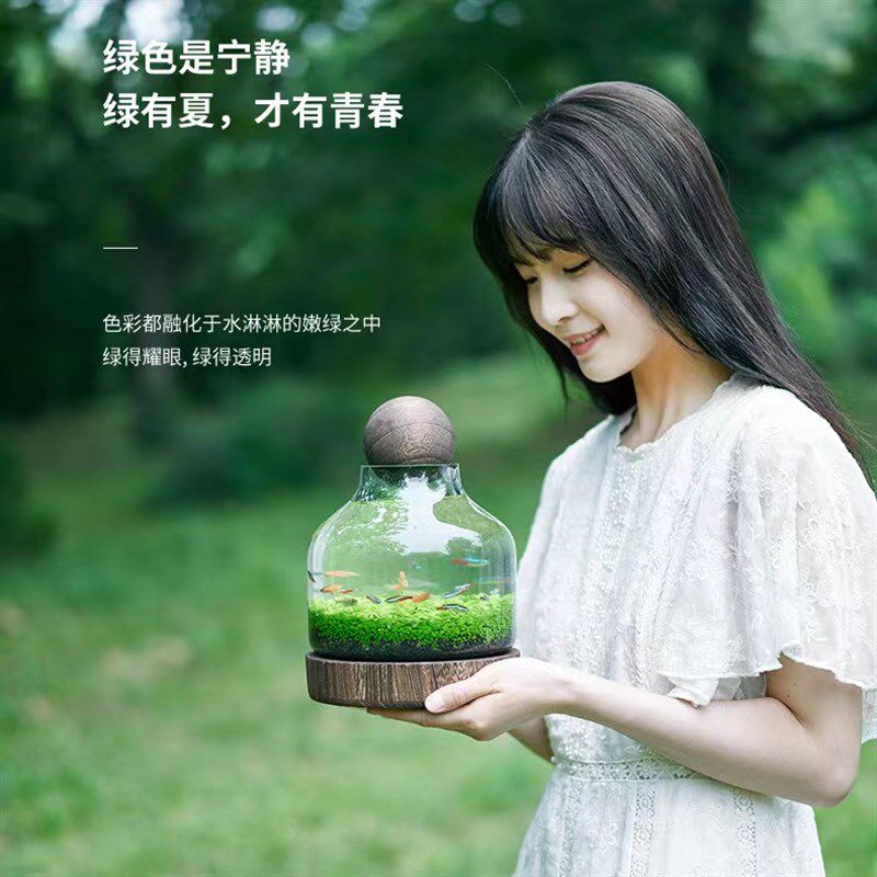 生态鱼瓶大肚子小口鱼缸玻璃鱼缸微景观水草自循S环办公桌家俱阳