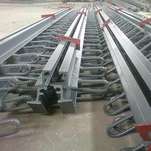 公路桥梁伸缩缝Z/E/F/C型多变式柳P齿板异伸缩缝胶条