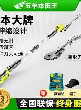 进口智伸能AOW长变速剪电动高枝修机加杆修剪机大功率苗木缩杆绿